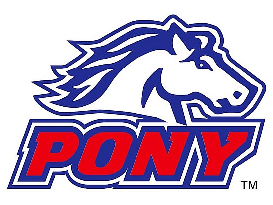 Pony Baseball Tournament